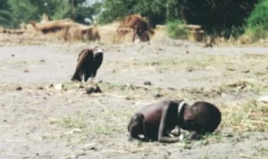 True Story: The Photo that Took the Life of the Photographer