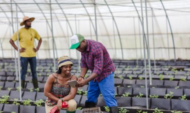 Glovo Ghana partners Kosmos Innovation & Open Value Foundation for Impact Entrepreneurship Competition