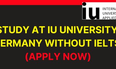 2023 IU Germany Scholarship Without IELTS