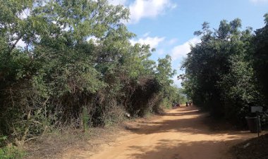 Chiefs and Elders of Osu to engage govt officials on issues surrounding Achimota Forest