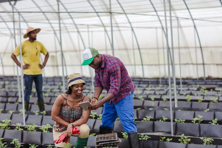 Glovo Ghana partners Kosmos Innovation & Open Value Foundation for Impact Entrepreneurship Competition