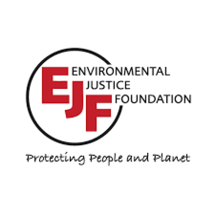 Administrative Assistant at Environmental Justice Foundation (EJF)