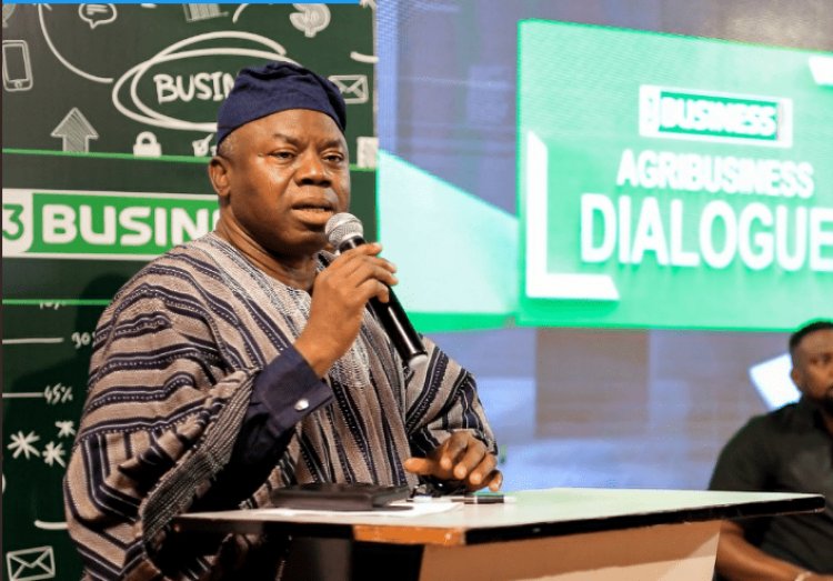 Ghana has been thriving on borrowed resources, massive investments in agriculture needed – Andani