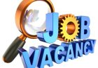 Job Vacancy For Human Resource and Administrative Officer