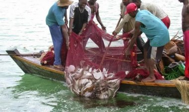 Fisheries Ministry targets 200,000 youth into fish farming