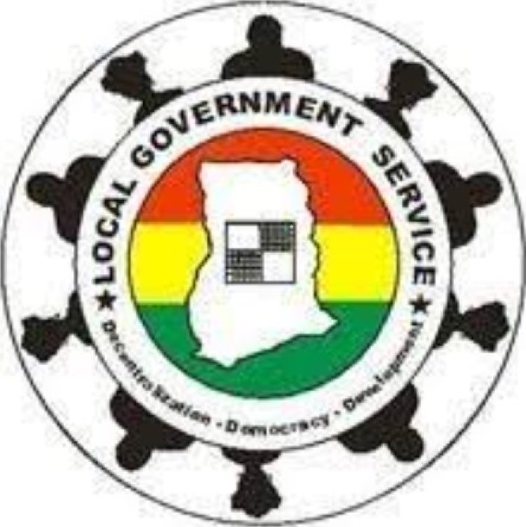 Local Government Service job recruitment November 2022