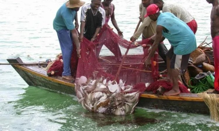 Fisheries Ministry targets 200,000 youth into fish farming