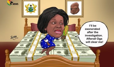 Cecilia Dapaah’s money is ill-gotten wealth – NDC MP