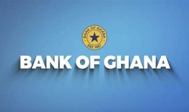 BoG should not entirely be blamed for GH¢60.81bn loss – Adu Sarkodie