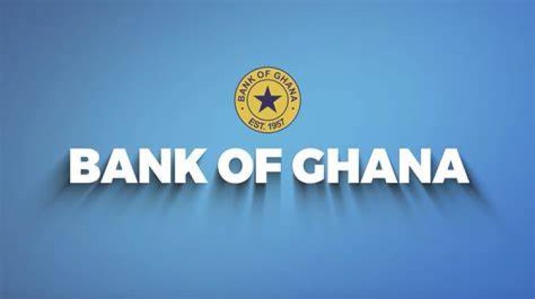 BoG should not entirely be blamed for GH¢60.81bn loss – Adu Sarkodie