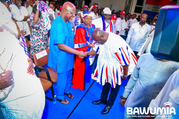 Halt campaigning, focus on rebuilding the party – NPP elders to members